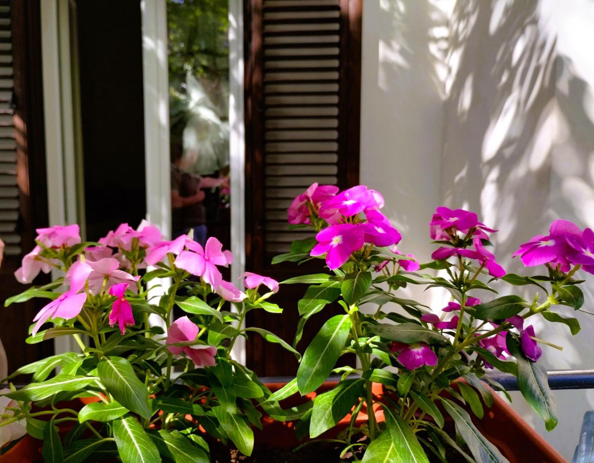Domus Vetriera Appartement Palermo Buitenkant foto